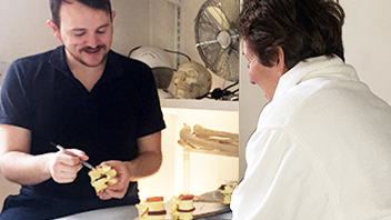 chiropractic-stokey-reasons-to-see-us-chiropractic-consultation